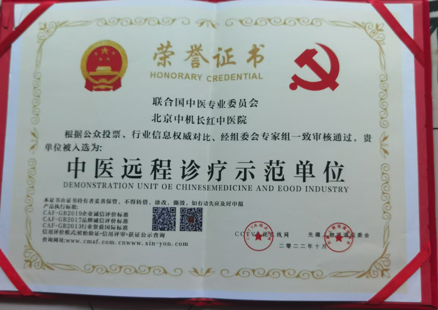 中医远程诊疗示范单位